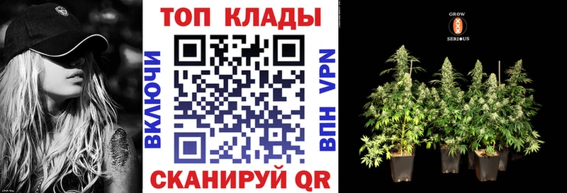 Где продают наркотики Кола APVP ГАШ Кодеин КОКАИН МАРИХУАНА