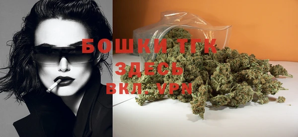 PSILOCYBIN Белокуриха