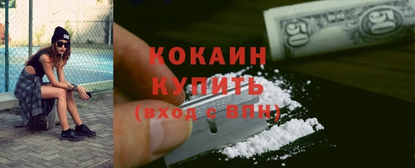PSILOCYBIN Белокуриха