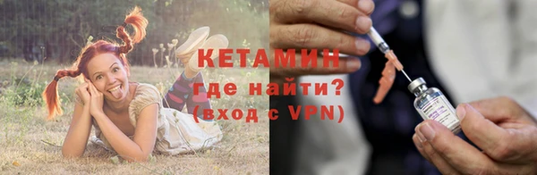 PSILOCYBIN Белокуриха