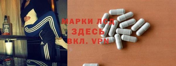 PSILOCYBIN Белокуриха